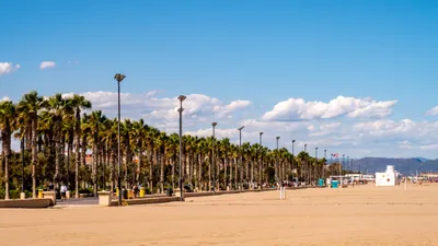 Palm-lined beach promenade and wide sandy beach in Valencia on a sunny day