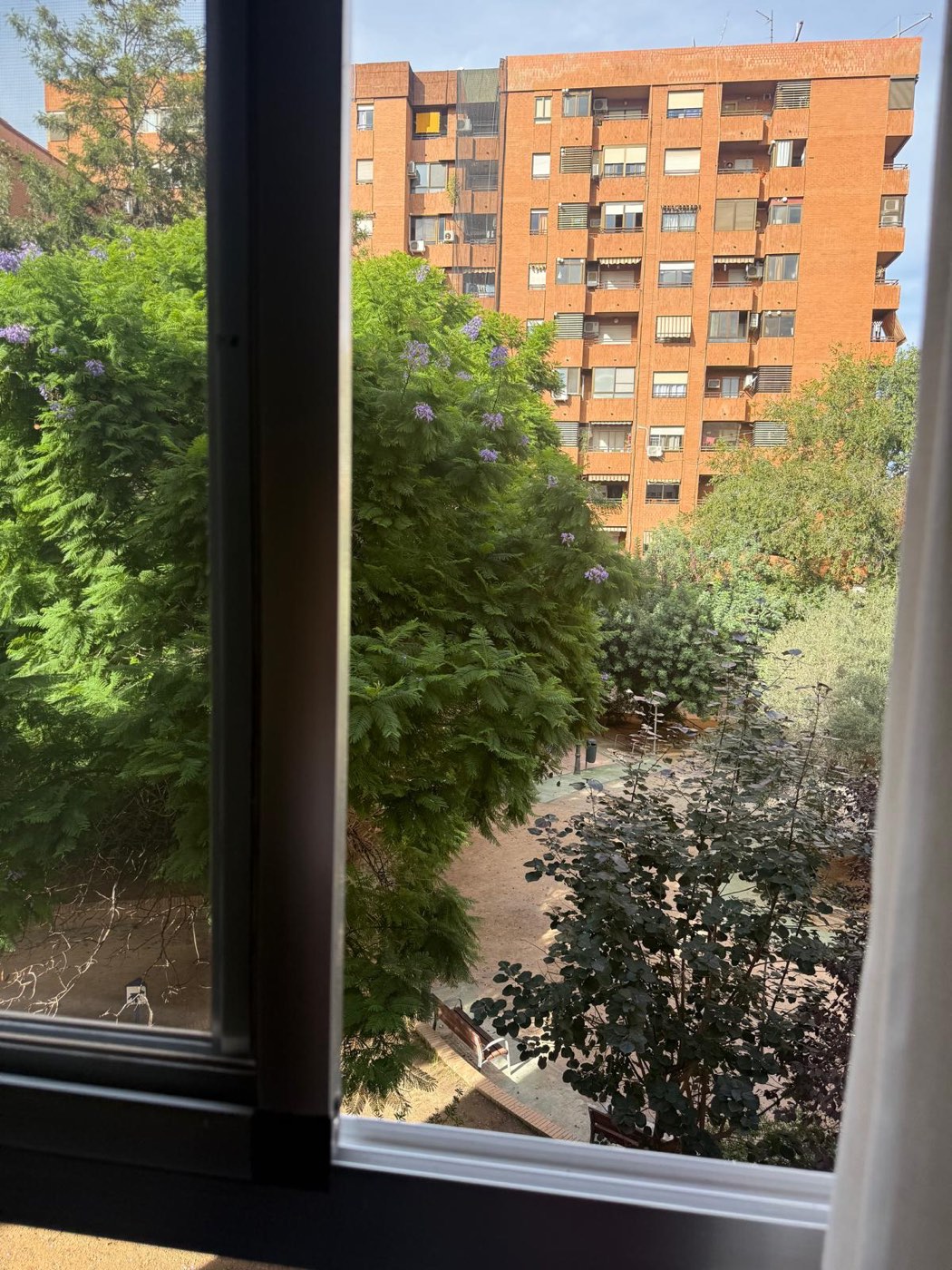 Vistas a los árboles desde el piso